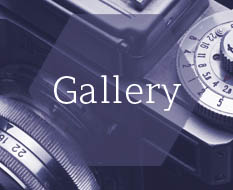 Gallery of Jewellery